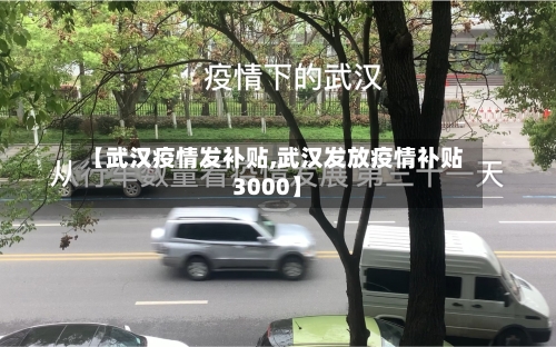 【武汉疫情发补贴,武汉发放疫情补贴3000】