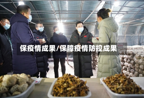 保疫情成果/保障疫情防控成果-第1张图片