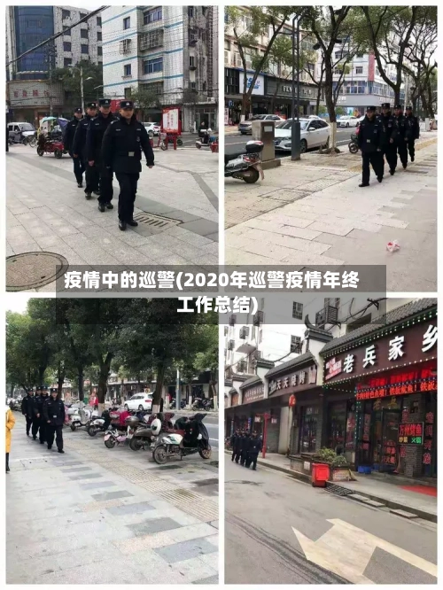 疫情中的巡警(2020年巡警疫情年终工作总结)-第1张图片