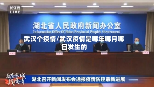 武汉个疫情/武汉疫情是哪年哪月哪日发生的-第1张图片