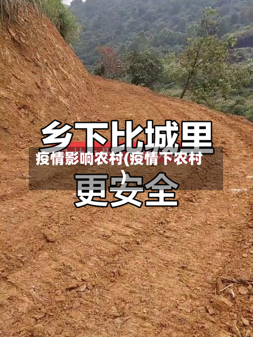疫情影响农村(疫情下农村)