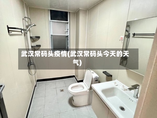 武汉常码头疫情(武汉常码头今天的天气)-第1张图片