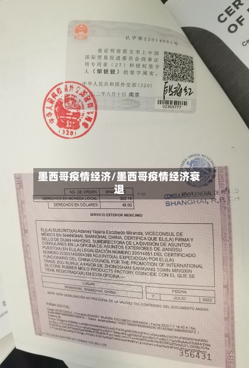 墨西哥疫情经济/墨西哥疫情经济衰退-第2张图片